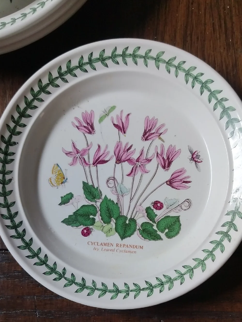 Port Meirion Botanical Cyclamen Floral Salad Plate - Pink & Green